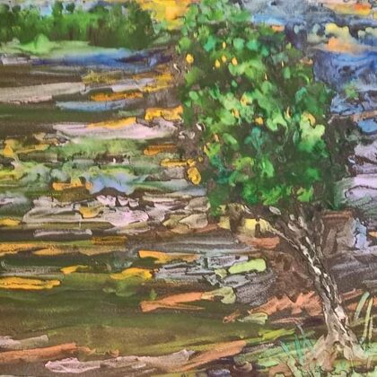 Brzoza w Szczejkowicach