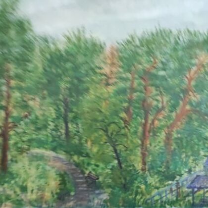 Droga na plażę- Łazy 